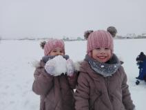 IMG_20190109_104131