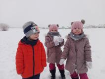 IMG_20190109_104245