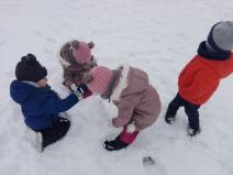 IMG_20190109_104650