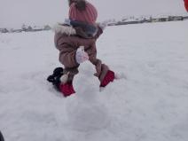 IMG_20190109_104706