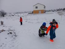 IMG_20190125_104109