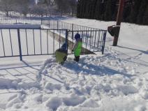 IMG_20190205_102911