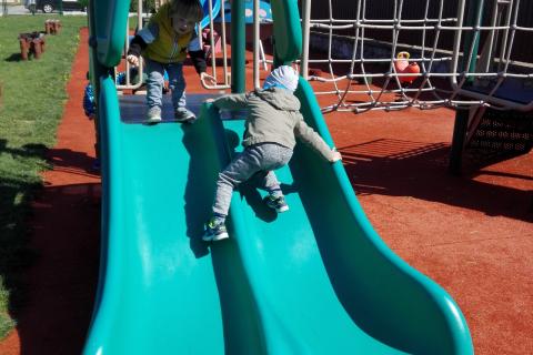 IMG_20190425_103820