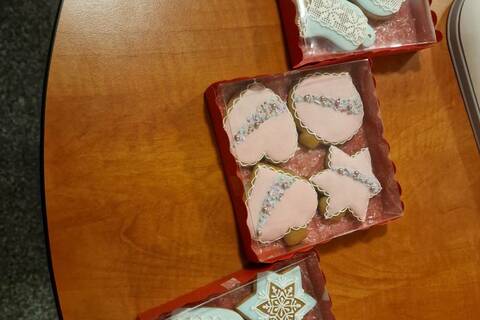 588624843_122109923205060947_1083300784176848517_n