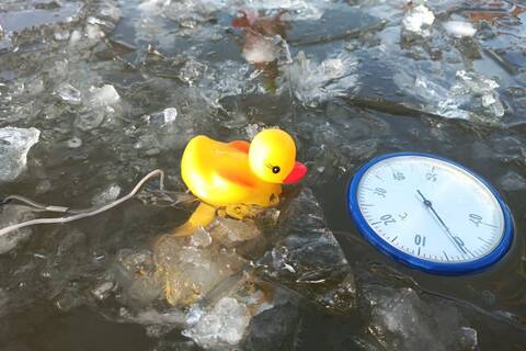 FB_IMG_1767286149306