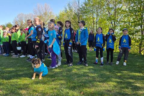 20260502_081742_Original