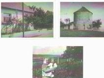 33